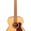 GOM10 - Image 2