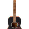 GPA10BK - Image 2